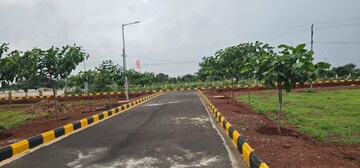  Plot – Exterior View View at JB Nature Valley, Choutuppal - for Sale