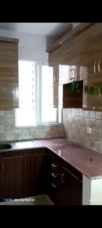 Kitchen in 2 BHK Apartment at Amrapali Golf Homes, Sector 4 Greater Noida – for Rent