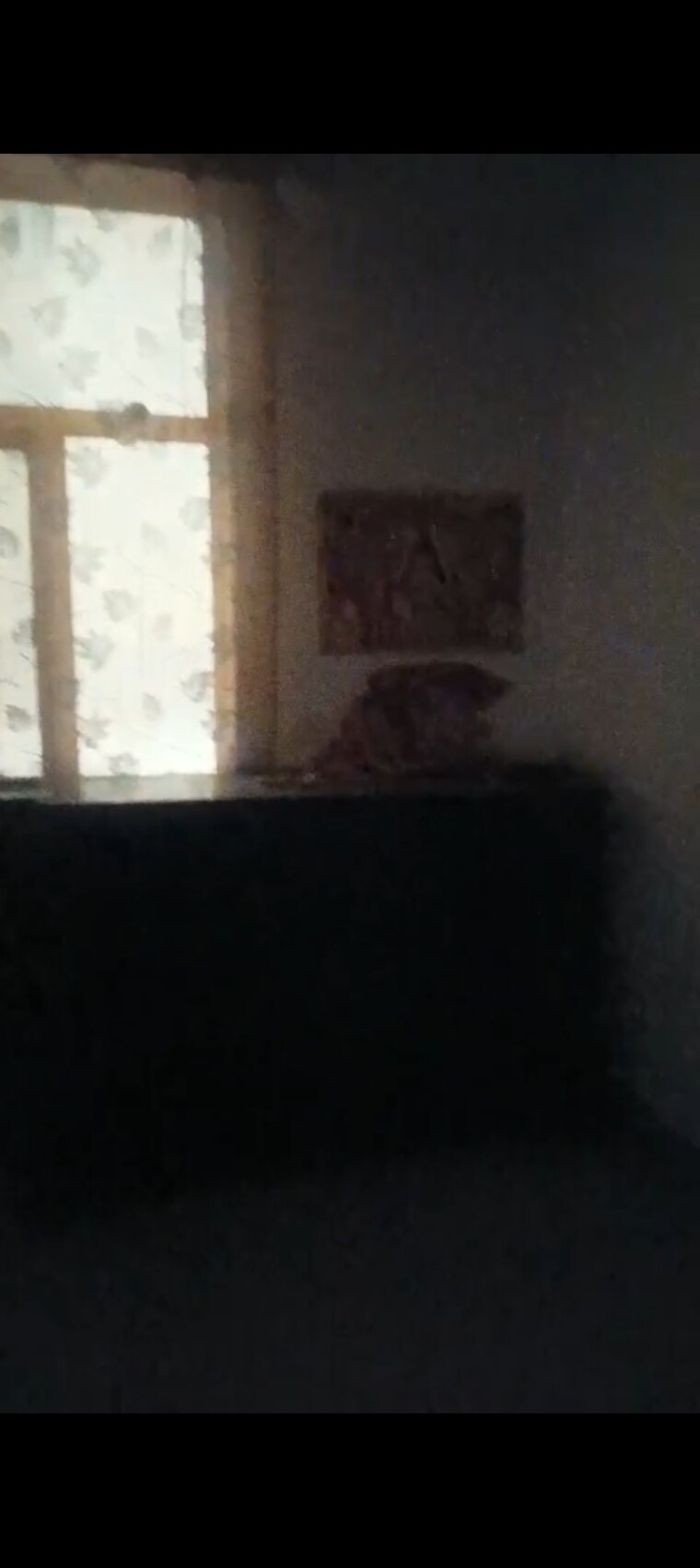 Other, gaur-city-5th-avenue 2.5 Bedroom 1175 Sq.Ft. Apartment In Sector 4 Greater Noida Greater Noida 9121442