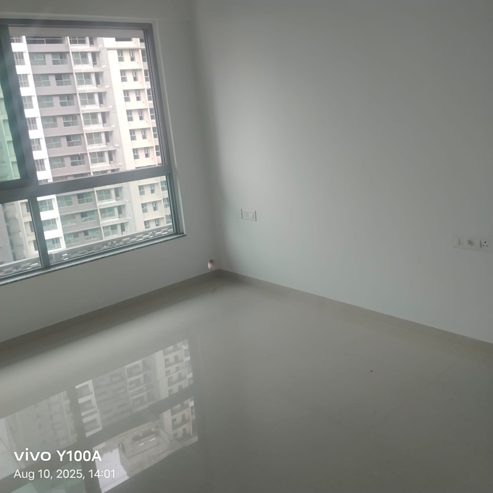 1 BHK Apartment For Rent in Kalpataru Immensa
