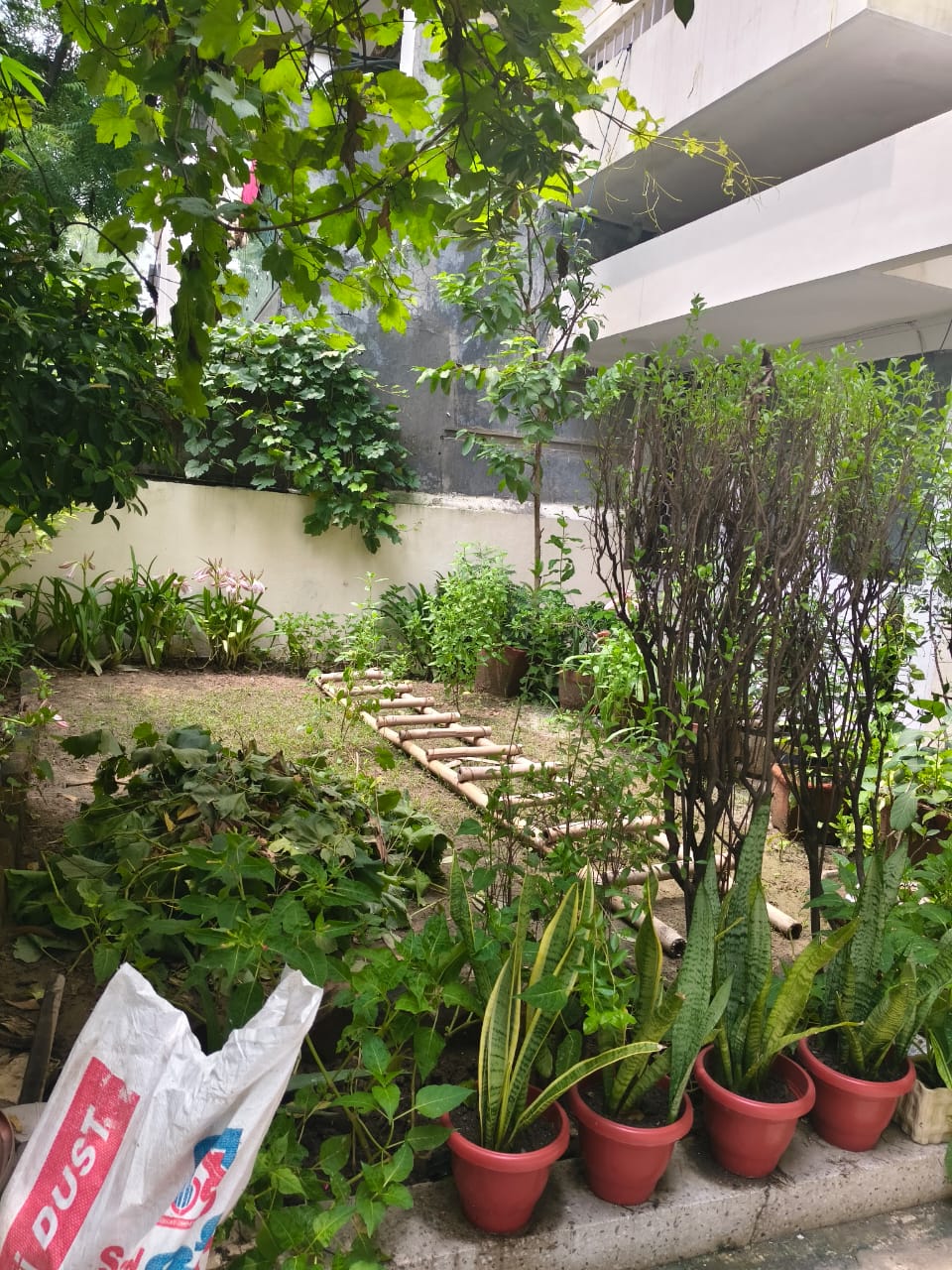 3 BHK Builder Floor For Rent in Saket 