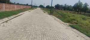  Plot For Sale in Omaxe World Homes, Sector 97