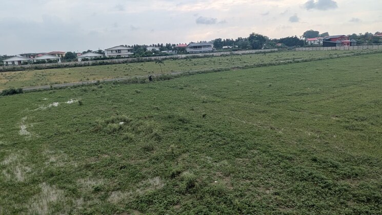 undefined, sector 135  1009 Sq.Yd. Plot In Sector 135 Noida 9121598