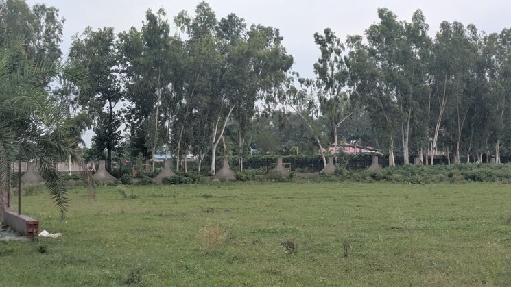 undefined, sector 135  2017 Sq.Yd. Plot In Sector 135 Noida 9121606