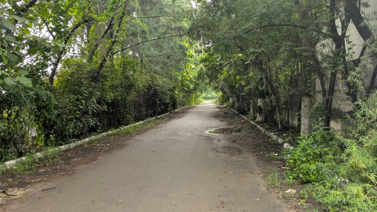 undefined, sector 135  2017 Sq.Yd. Plot In Sector 135 Noida 9121606