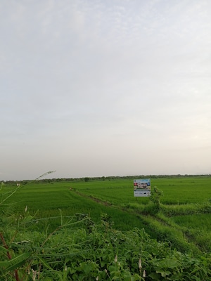 Plot – Garden View at Uran - for Sale