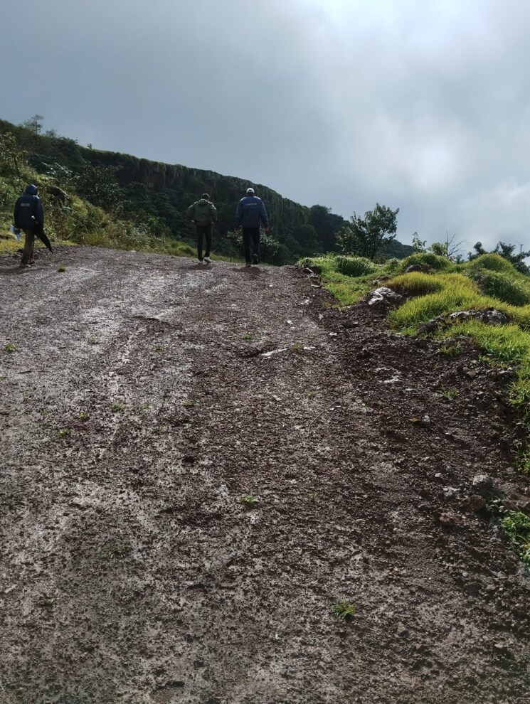 undefined, midc satara  47656 Sq.Ft. Plot In Midc Satara Satara 9121937