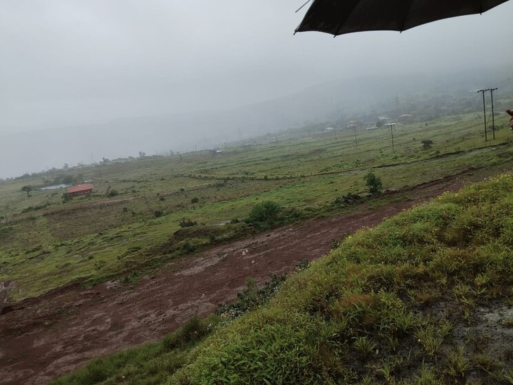 undefined, midc satara  47656 Sq.Ft. Plot In Midc Satara Satara 9121937