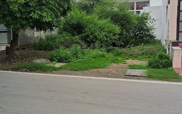 Plot For Sale in Sector 65