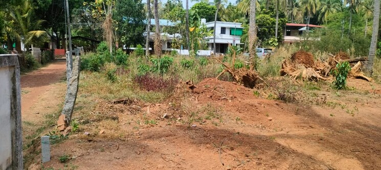 undefined, punkunnam  5009 Sq.Ft. Plot In Punkunnam Thrissur 9119307