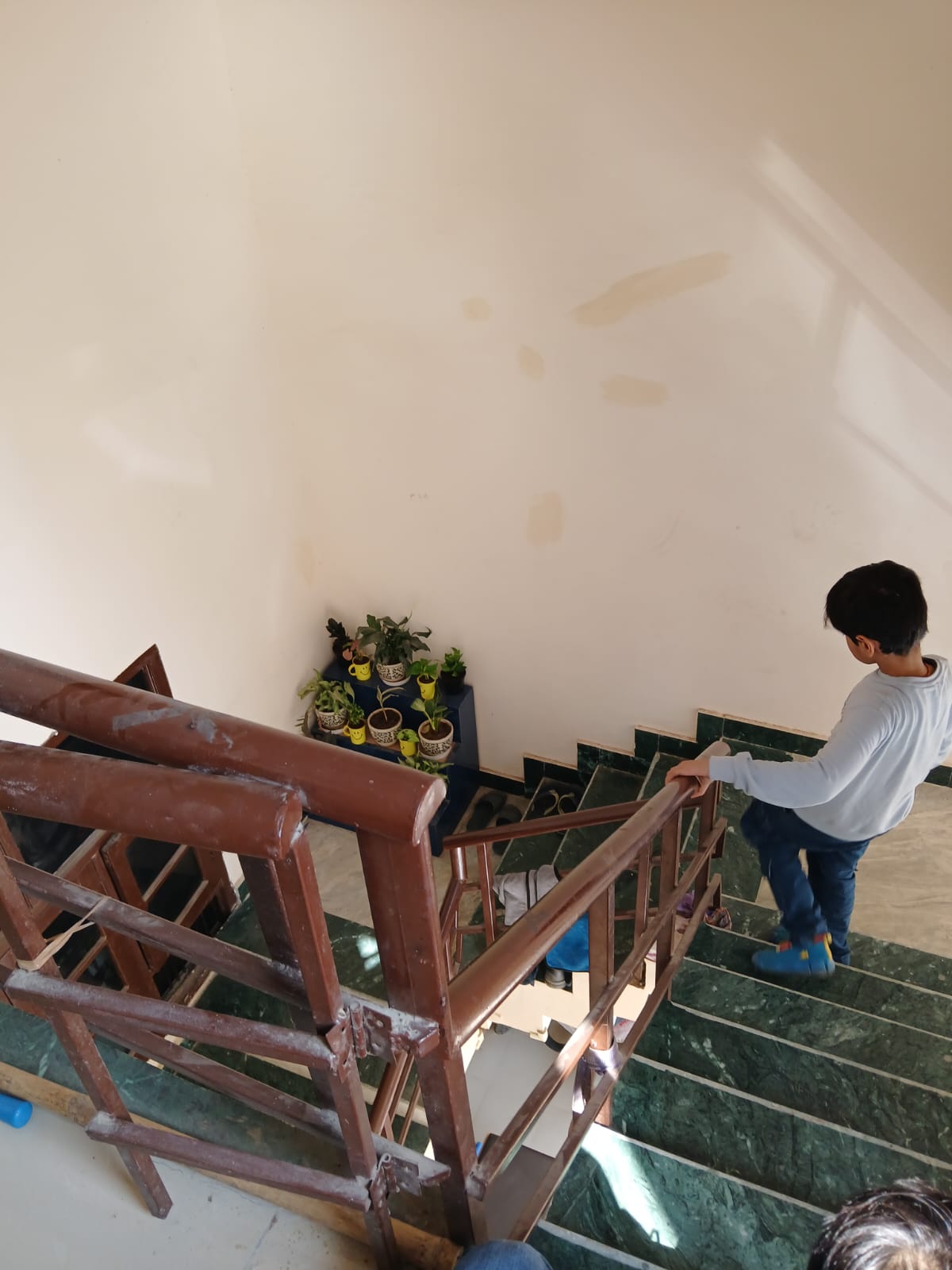 2 BHK + Extra Room Builder Floor For Rent in Rss Greens