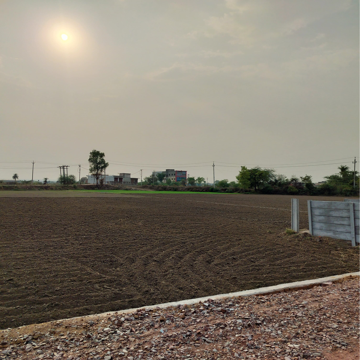 Plot For Sale in Lotus Group Sohna