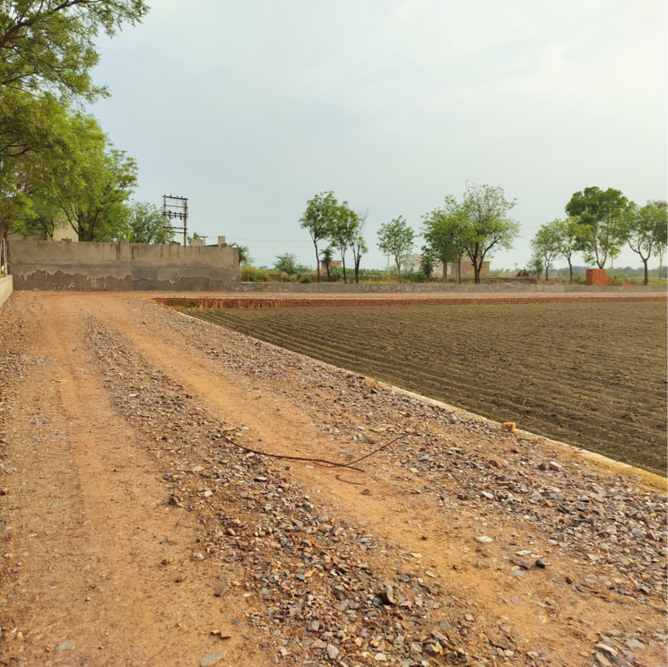 undefined, sector 5  103 Sq.Yd. Plot In Sector 5 Gurgaon 9122263