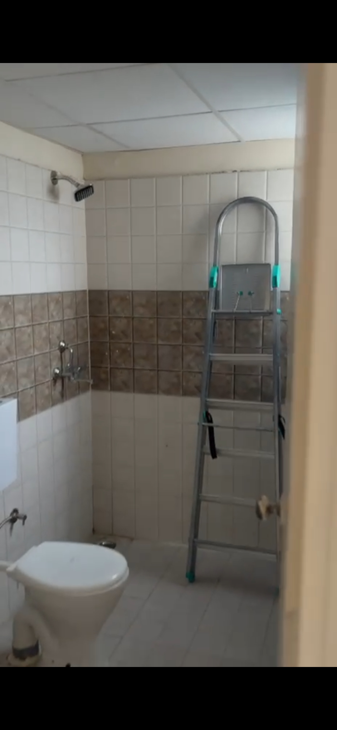 2.5 BHK Apartment For Rent in Signature Global Golf Greens