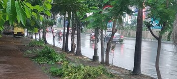  Showroom – Exterior View View at Em Bypass - for Rent