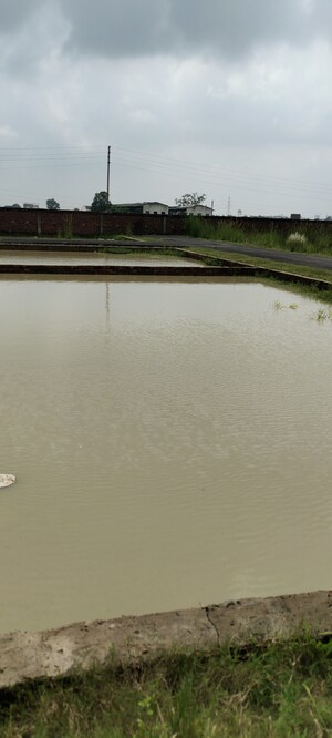  Plot – Exterior View View at Ramapura Luxa - for Sale