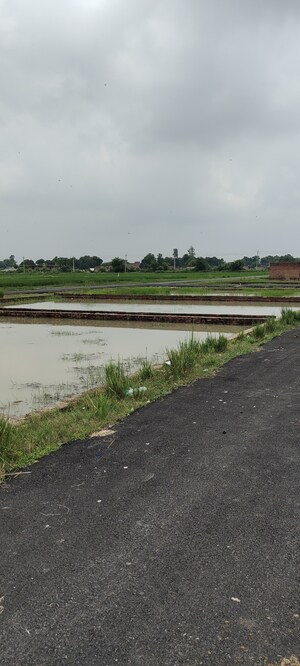 Plot Area in  Plot at Ramapura Luxa – for Sale