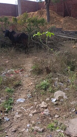 Plot Area in  Plot at Tilapta – for Sale