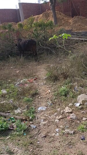 Plot Area in  Plot at Tilapta – for Sale