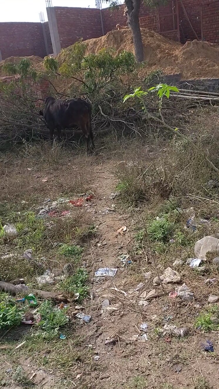 undefined, tilapta  200 Sq.Yd. Plot In Tilapta Greater Noida 9122597