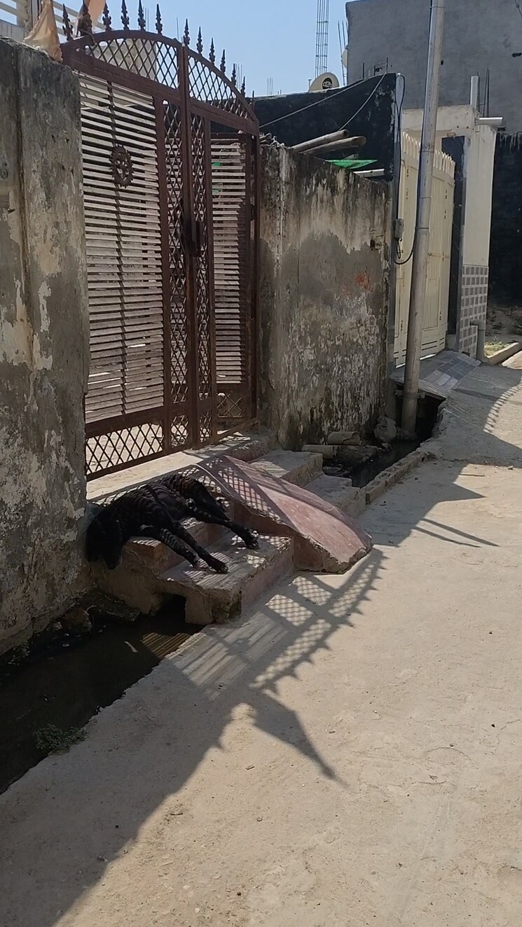 Exterior View, ace-city  200 Sq.Yd. Plot In Sector 1 Greater Noida Greater Noida 9122609