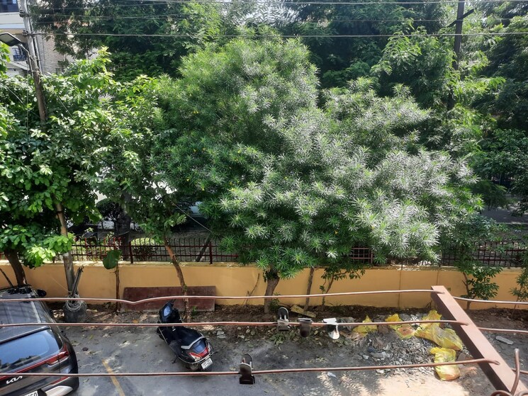 Exterior View, nda-rail-vihar 2.5 Bedroom 1340 Sq.Ft. Apartment In Sector 33 Noida 9122619