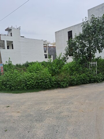  Plot For Sale in Sector 65