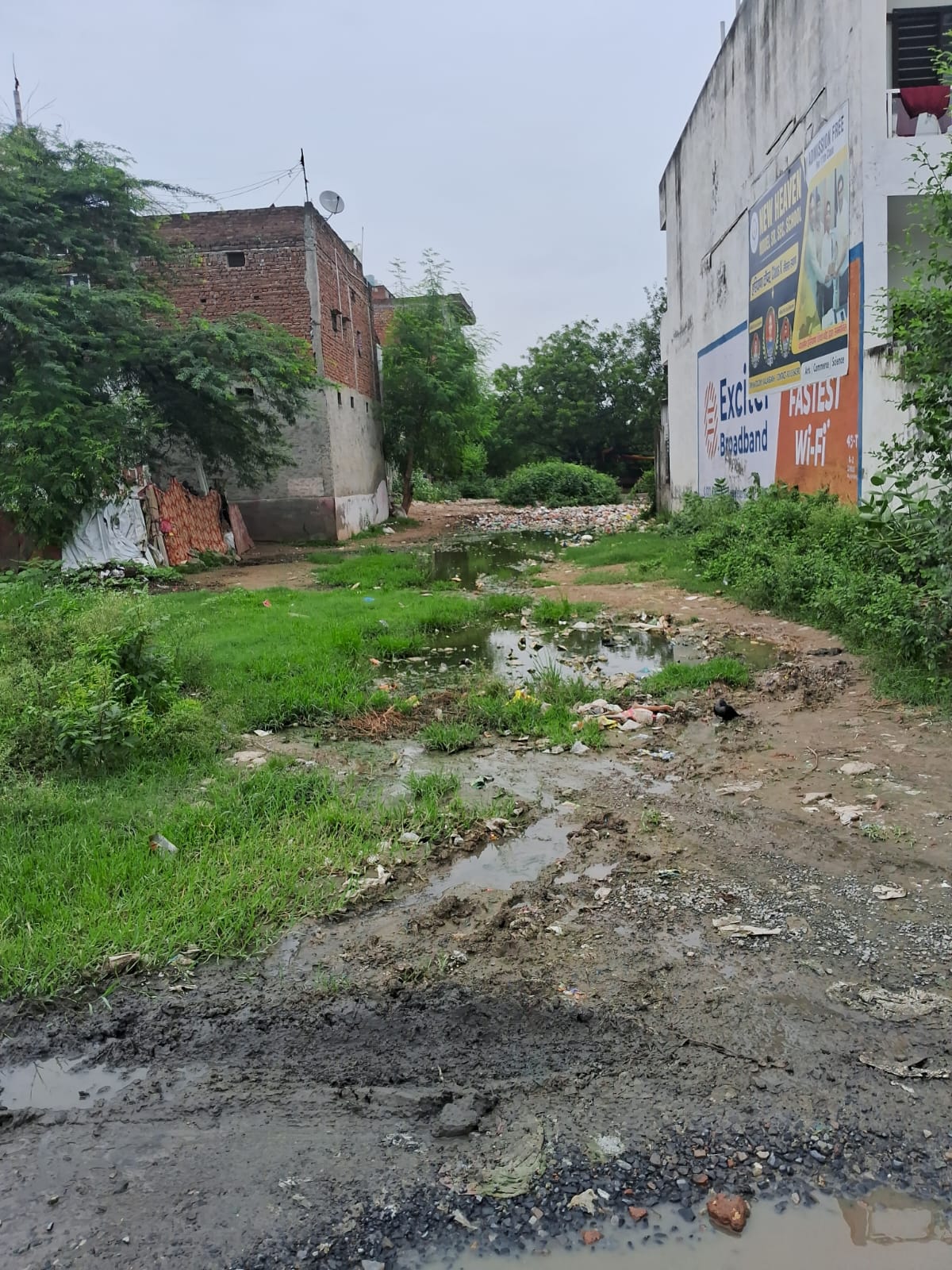 Plot For Sale in Sector 64