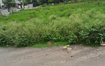 Plot For Sale in Sector 64