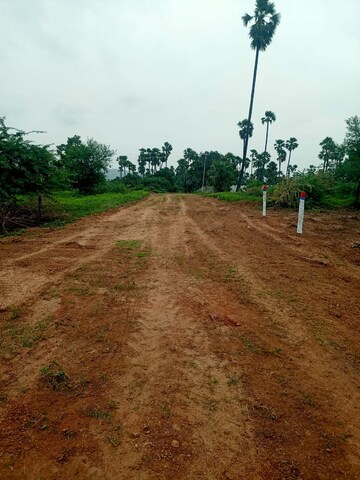  Plot – Exterior View View at Polkampally - for Sale
