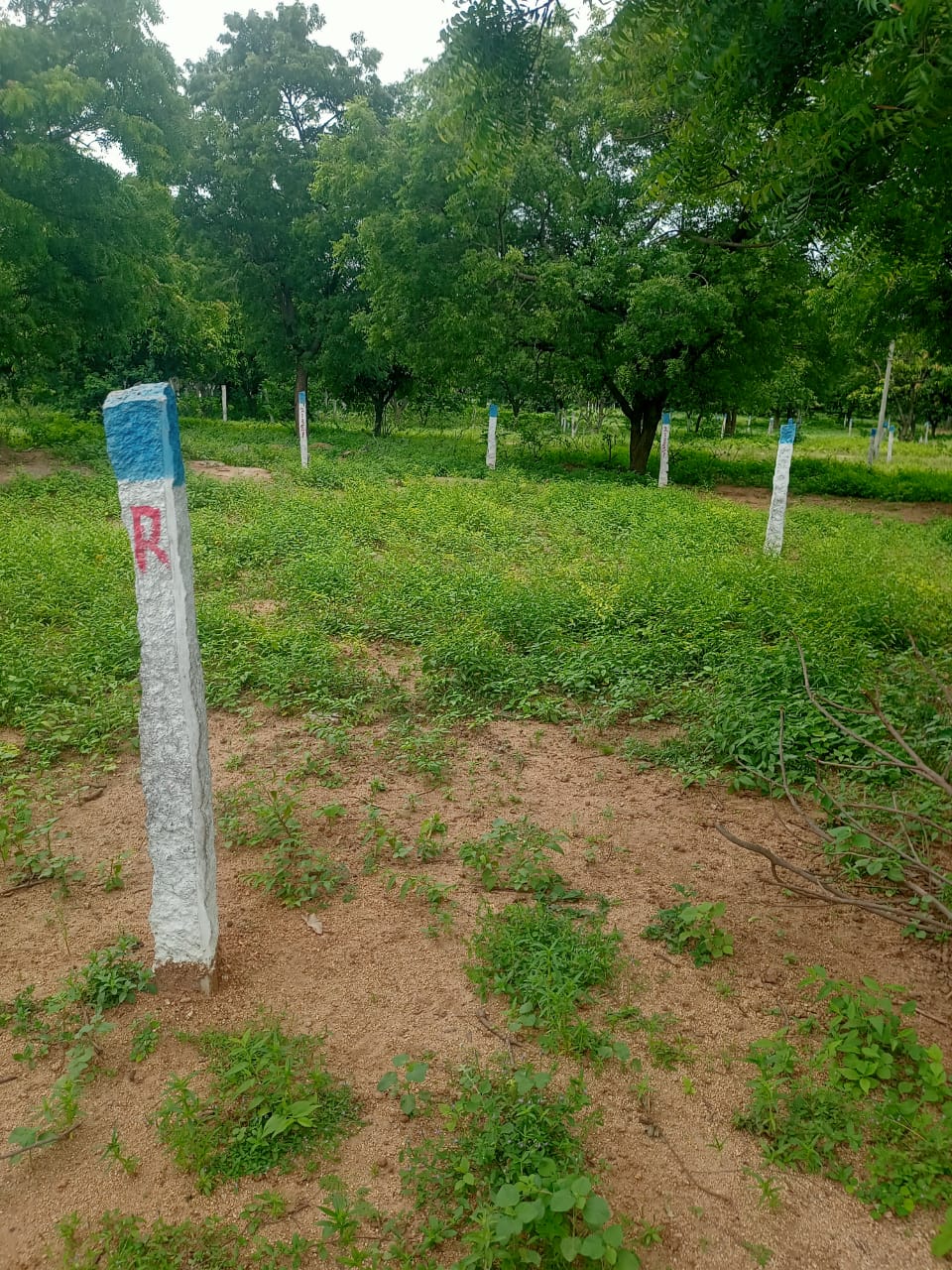 Plot For Sale in Polkampally