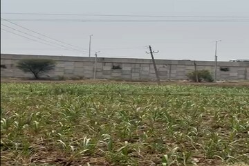 Plot Area in  Plot at KharaR-Kurali Highway – for Sale