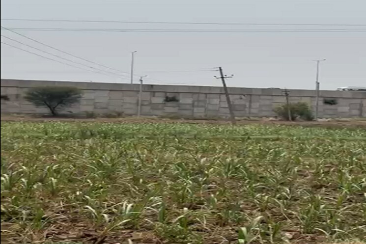 undefined, kharar kurali highway  1167 Sq.Ft. Plot In KharaR Kurali Highway Mohali 9123548