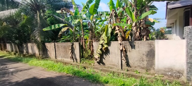 Garden, viyyur  3050 Sq.Ft. Plot In Viyyur Thrissur 9123894