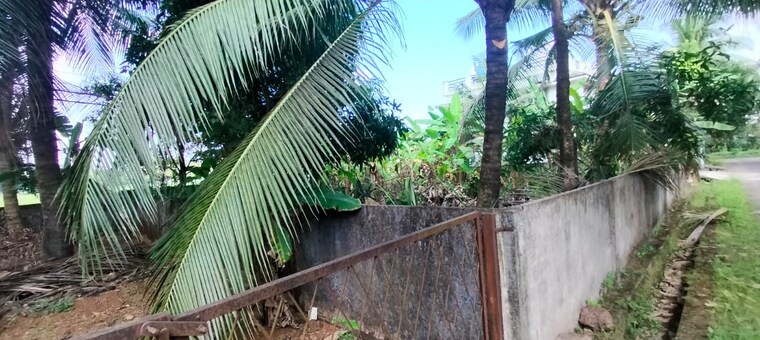 Balcony, viyyur  3050 Sq.Ft. Plot In Viyyur Thrissur 9123894