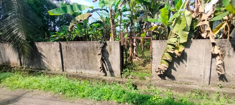 Garden, viyyur  3050 Sq.Ft. Plot In Viyyur Thrissur 9123894