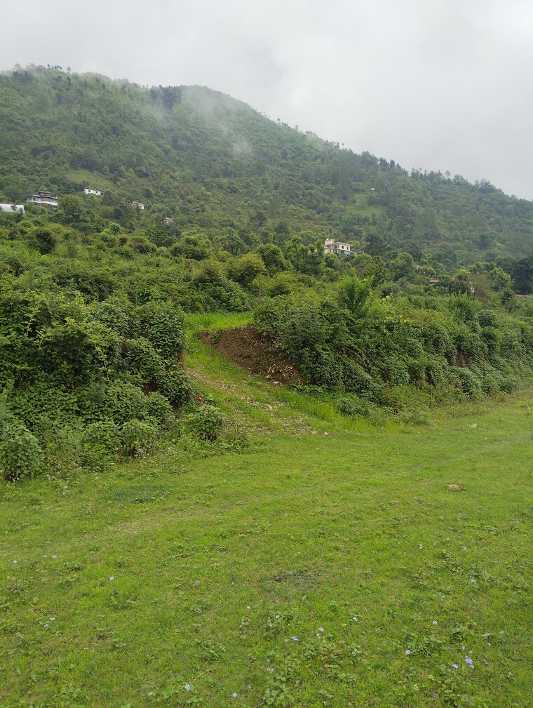 Garden, naukuchiatal  2700 Sq.Ft. Plot In Naukuchiatal Nainital 9123979