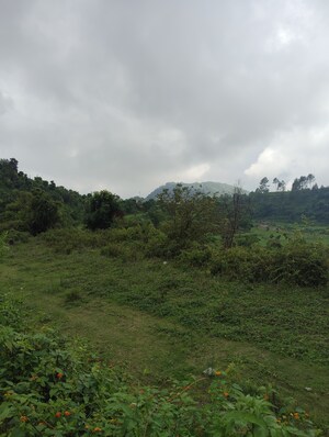 Plot Area in  Plot at Naukuchiatal – for Sale