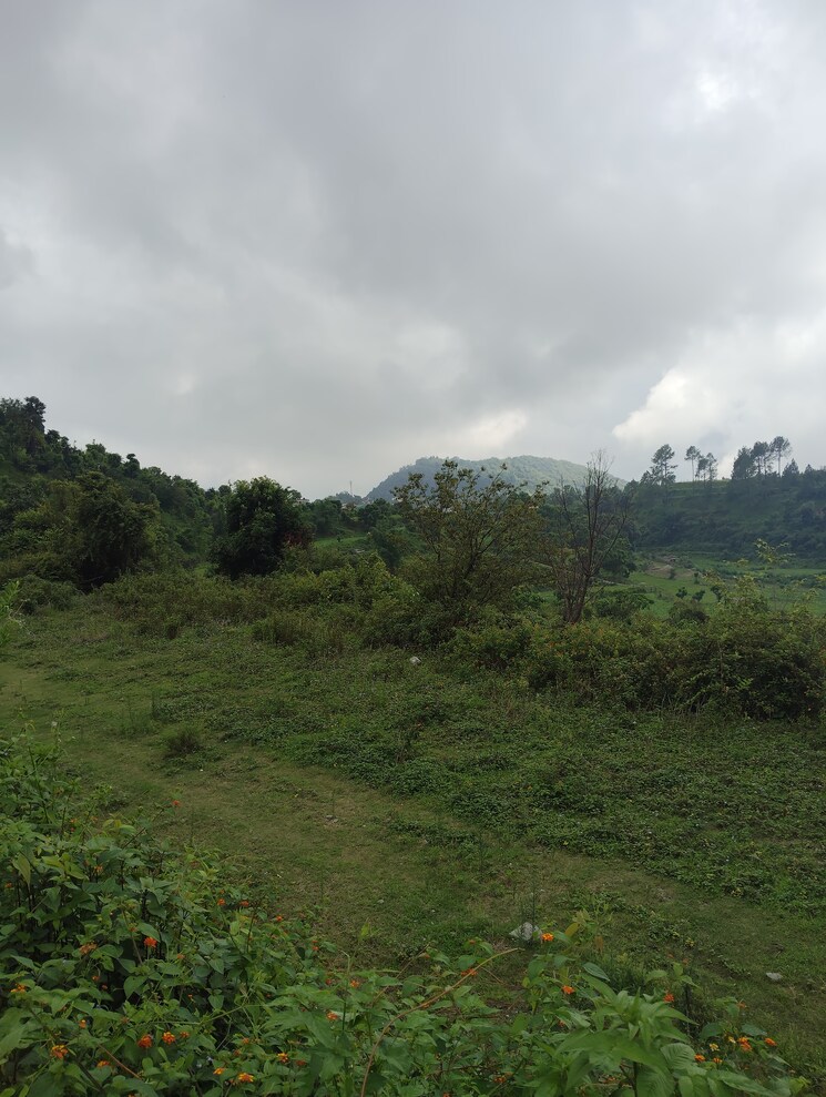undefined, naukuchiatal  2700 Sq.Ft. Plot In Naukuchiatal Nainital 9123979