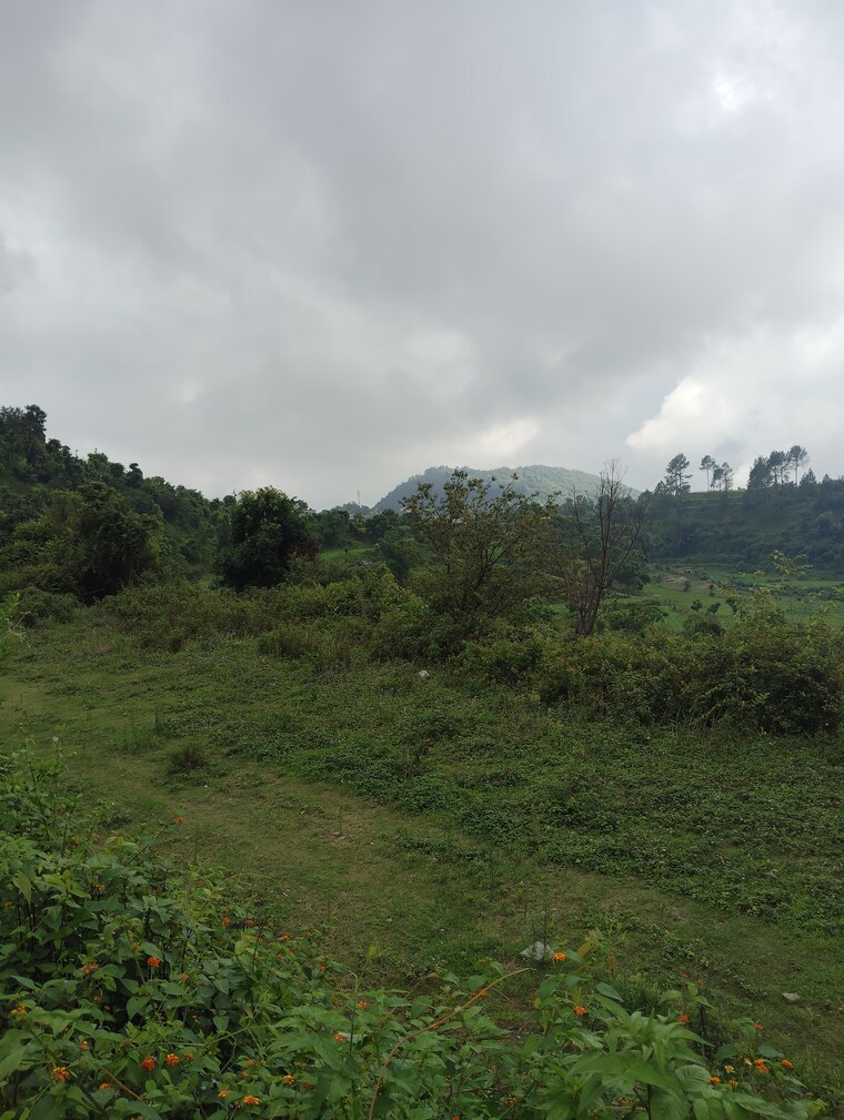 undefined, naukuchiatal  2700 Sq.Ft. Plot In Naukuchiatal Nainital 9123979
