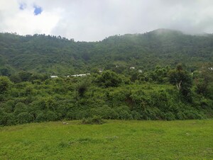 Plot Area in  Plot at Naukuchiatal – for Sale