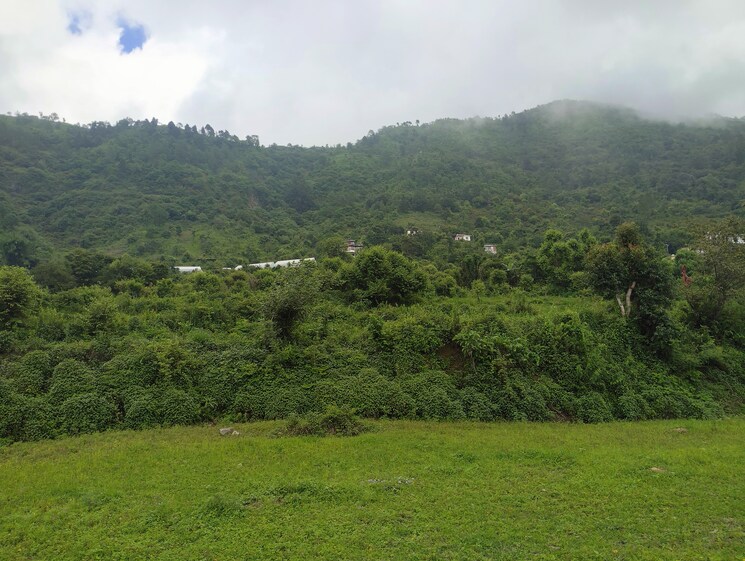 undefined, naukuchiatal  2700 Sq.Ft. Plot In Naukuchiatal Nainital 9123979