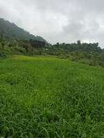 2700 Sq.Ft. Plot in Naukuchiatal