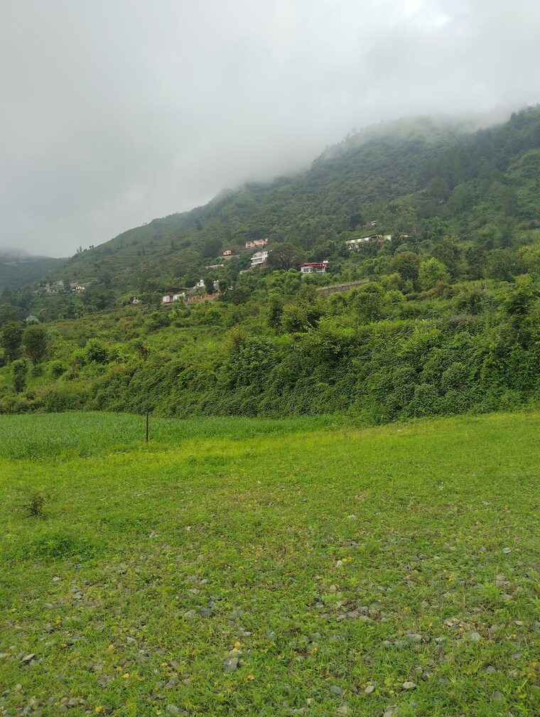 Garden, naukuchiatal  2700 Sq.Ft. Plot In Naukuchiatal Nainital 9123979