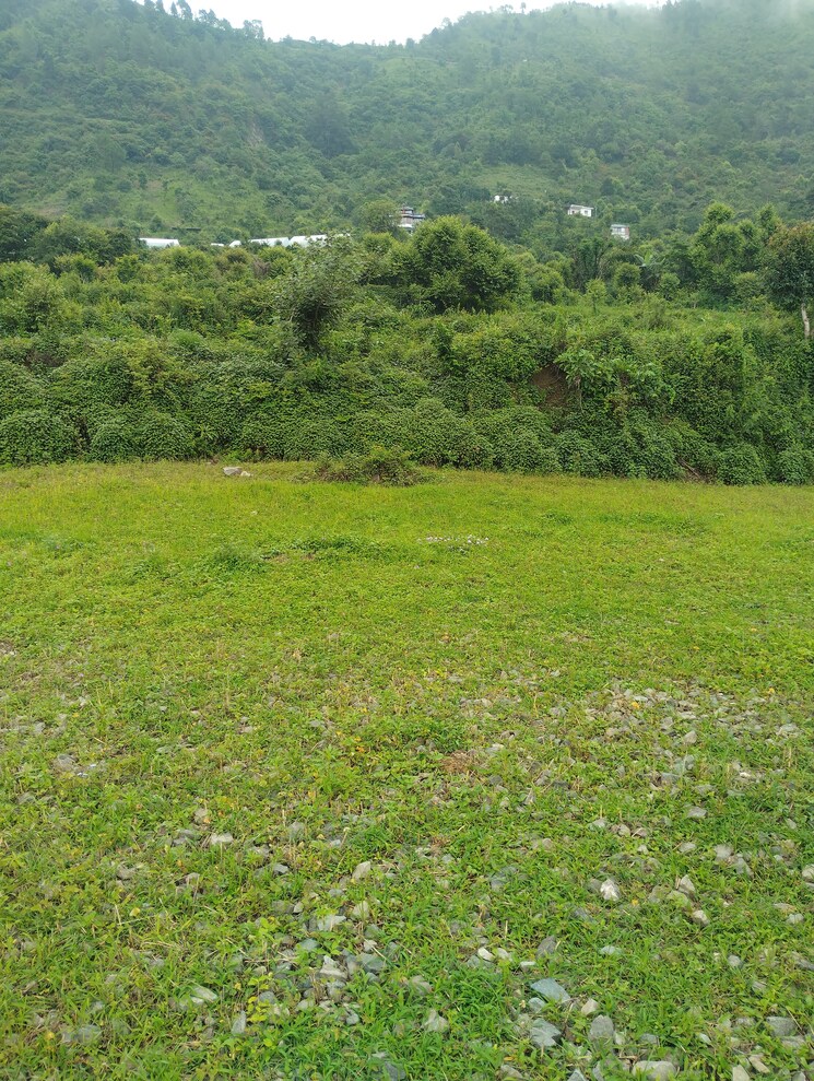Garden, naukuchiatal  2700 Sq.Ft. Plot In Naukuchiatal Nainital 9123979