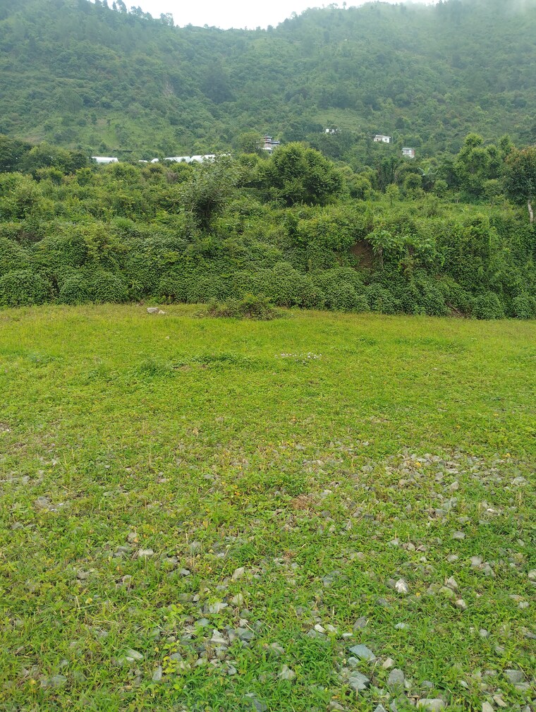 Garden, naukuchiatal  2700 Sq.Ft. Plot In Naukuchiatal Nainital 9123979