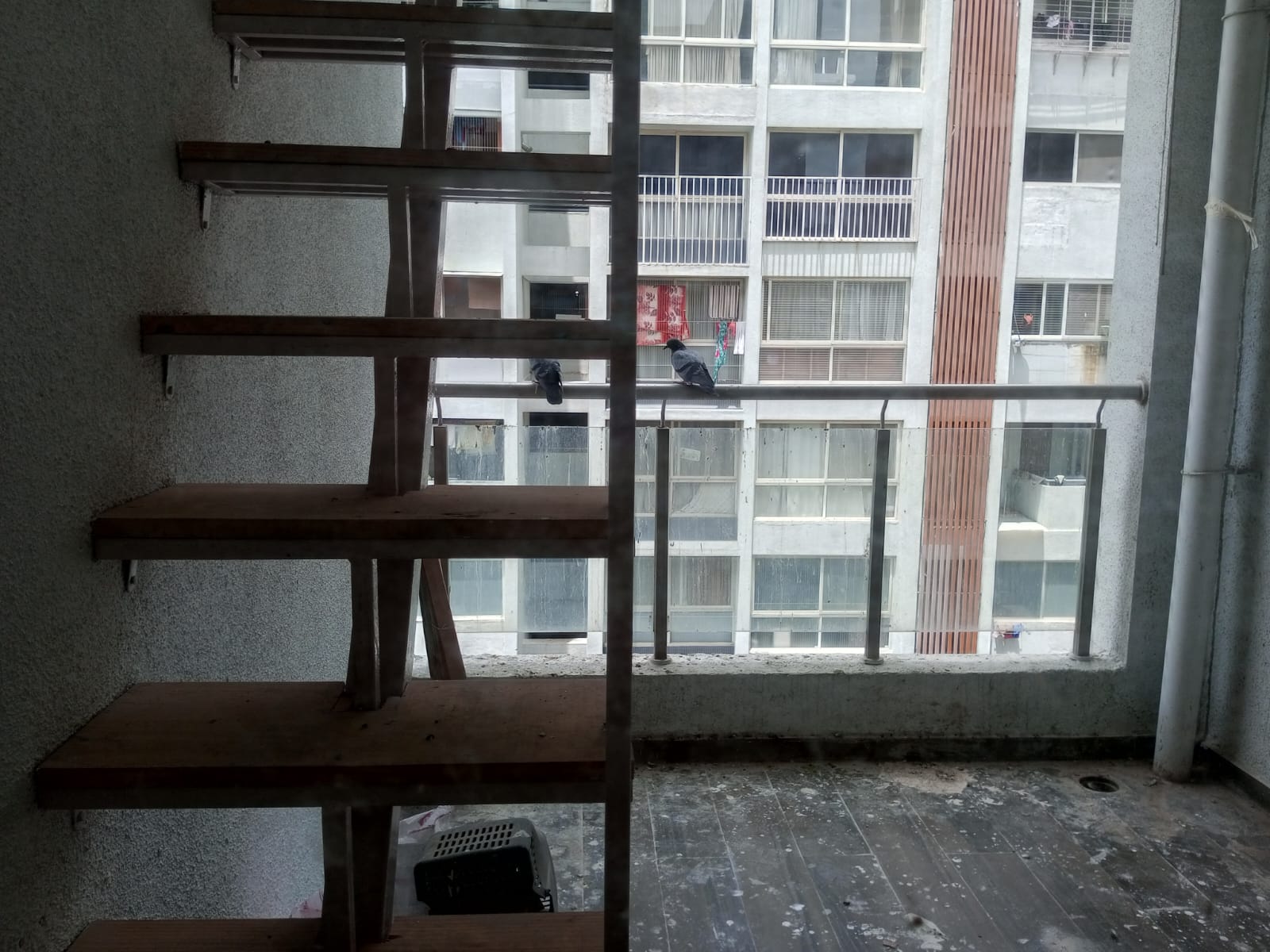 2 BHK + Pooja Room,Study Room 864 Sq.Ft. Apartment in Gagan Signet