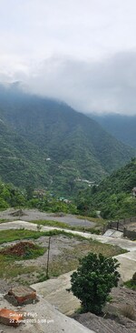 435 Sq.Yd. Plot in Dhara Green 