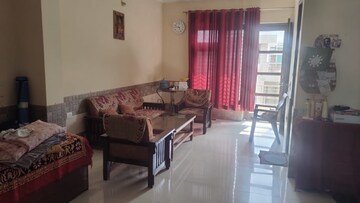 Living Room in 3 BHK Builder Floor at Ansal Plaza Sector-23, Sector 23 – for Rent