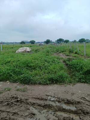  Land For Rent in Sinhasa